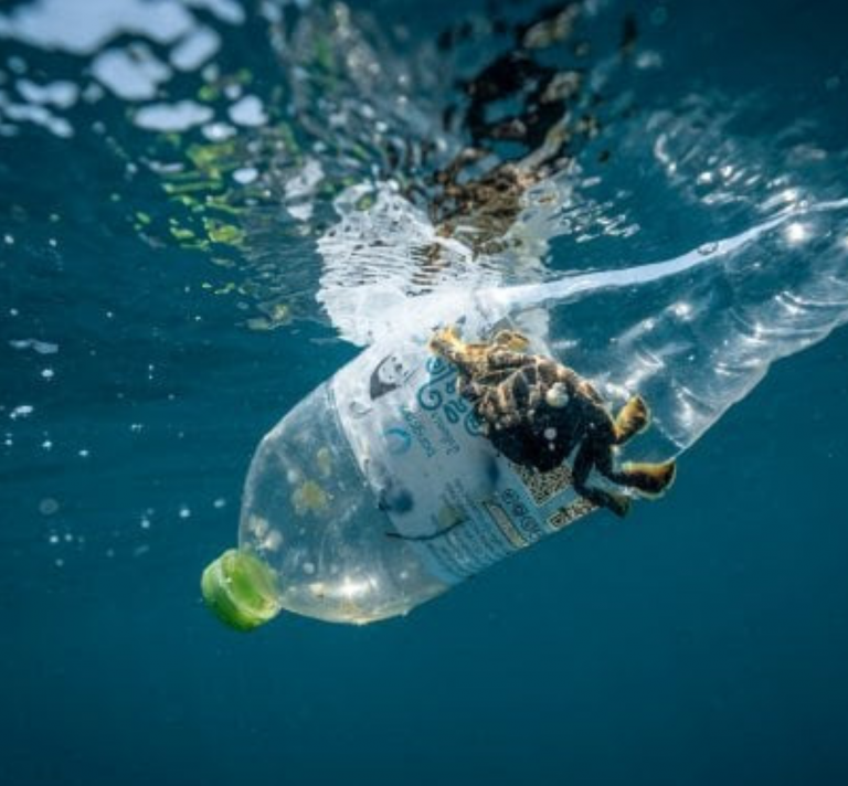 Plastik heizt das Klima an